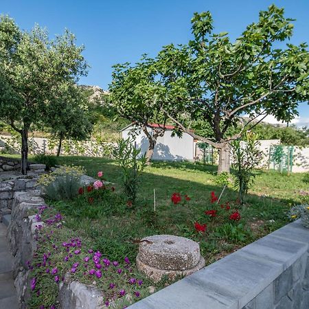 Villa Carmen Draga Bašćanska 외부 사진